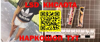 шишки Бузулук
