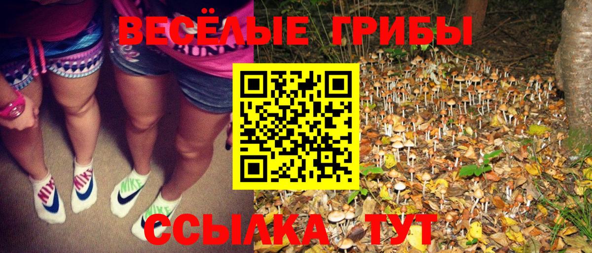 Галлюциногенные грибы MAGIC MUSHROOMS Красноармейск