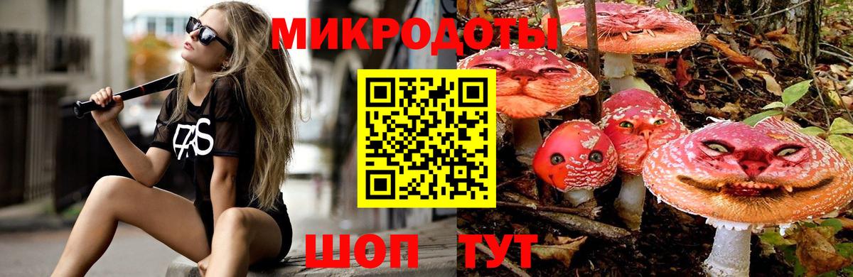 Псилоцибиновые грибы Cubensis  Вход с VPN  Красноармейск 